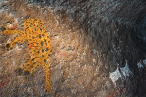Cueva de los felinos 2022 (7)