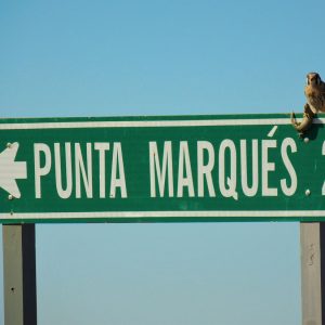 FOTO SECC-COMO LLEGAR